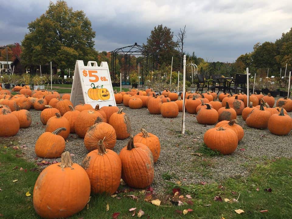 fall family traditions