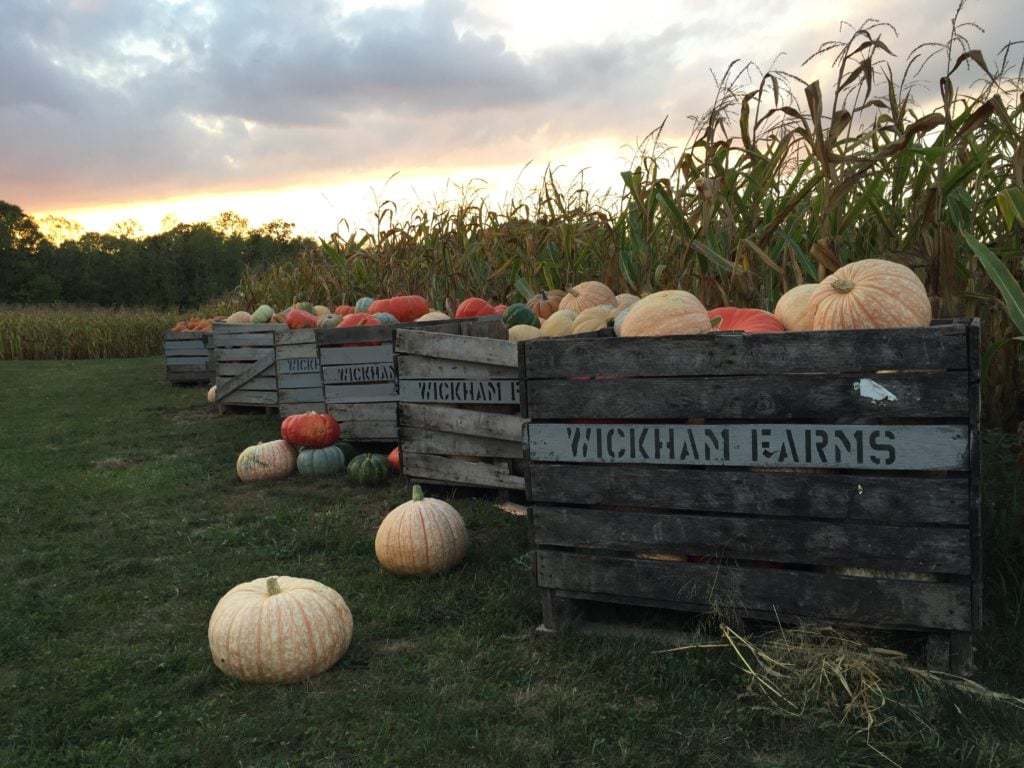fall family traditions