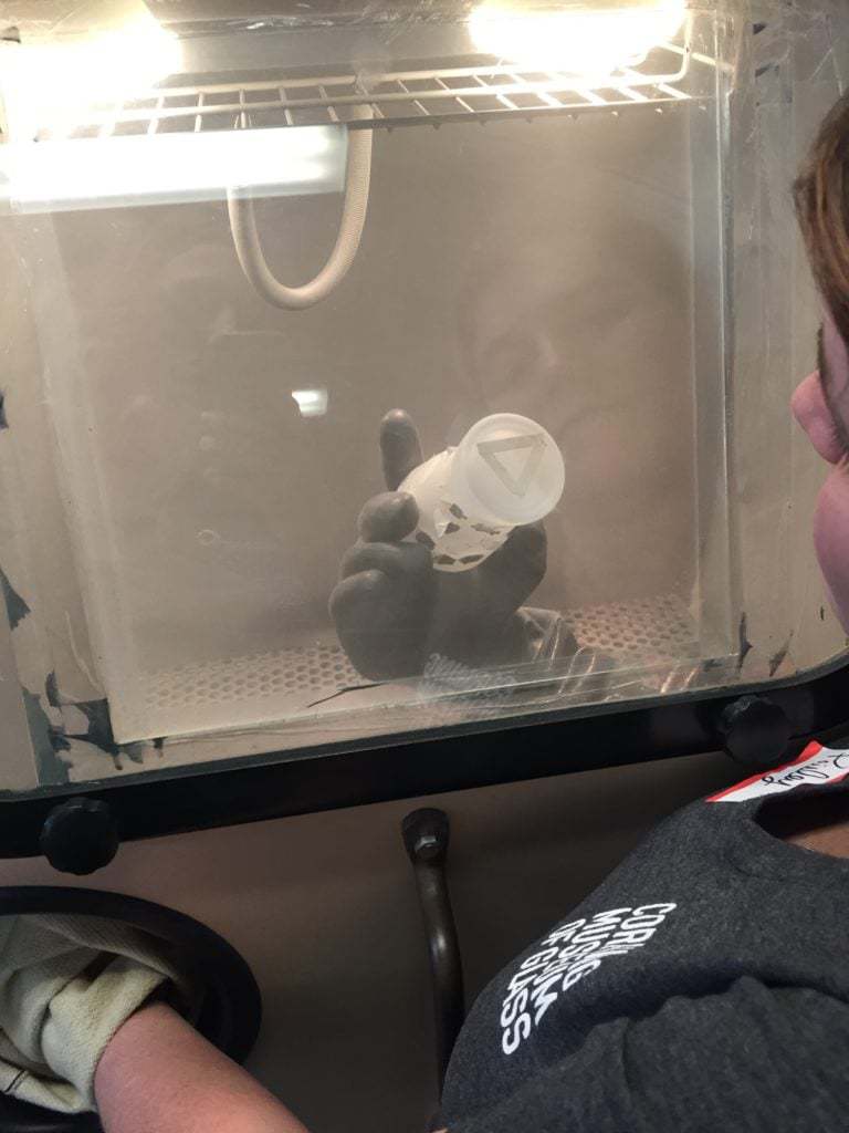 Corning Museum of Glass