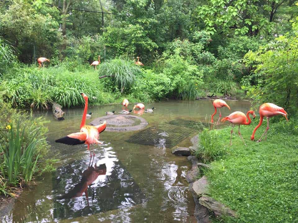 things to do with kids in Pittsburgh