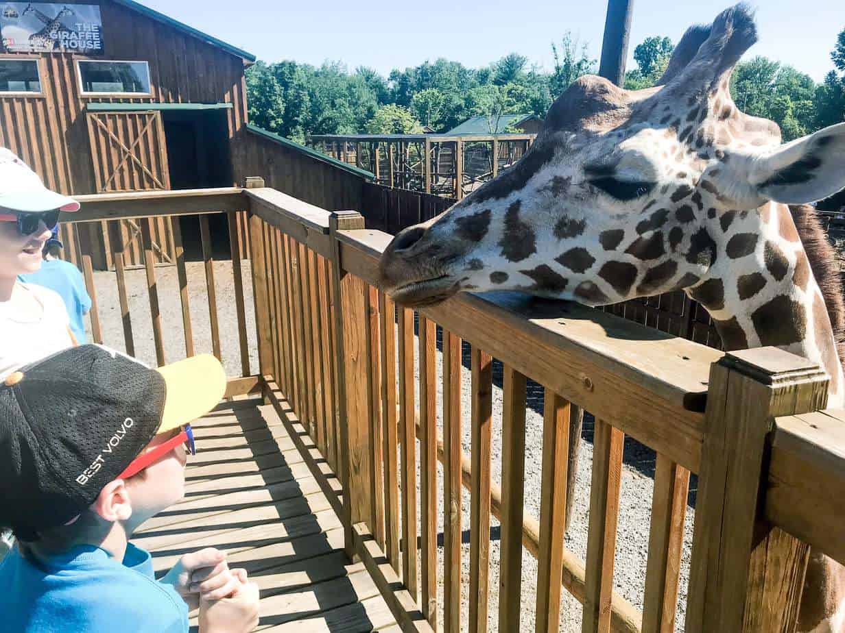 11 Weekend Getaways for Families from Rochester, New York & How To Save