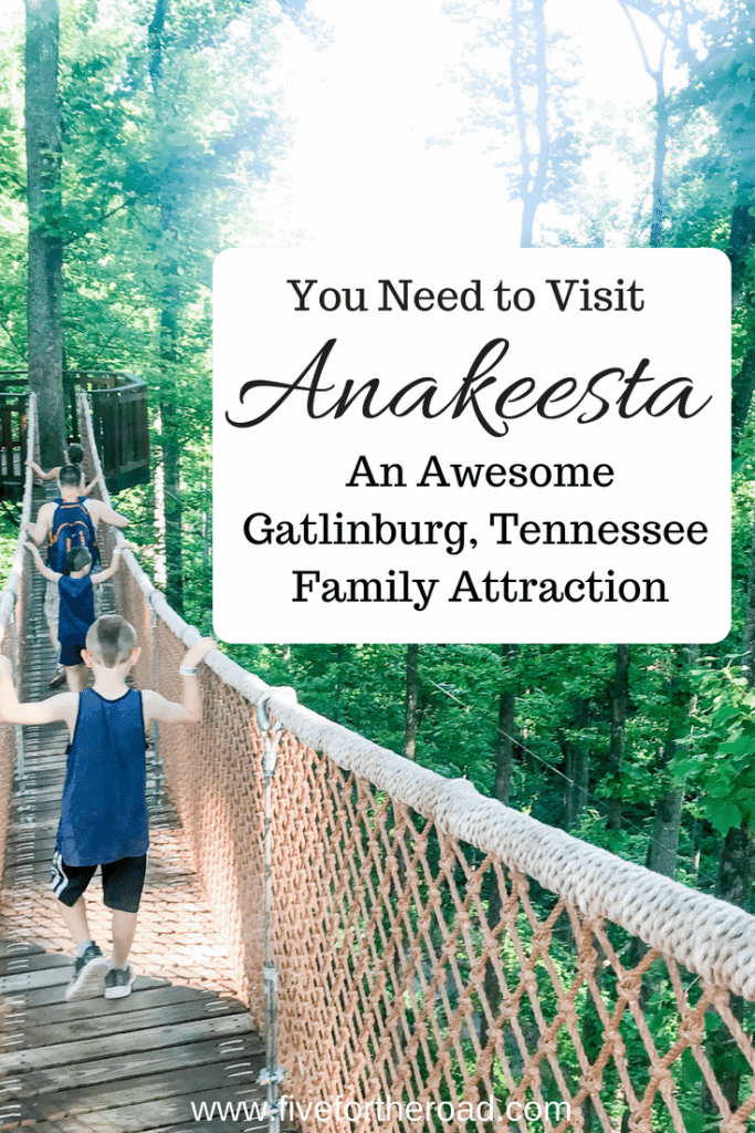 Anakeesta Gatlinburg Tennessee family visit