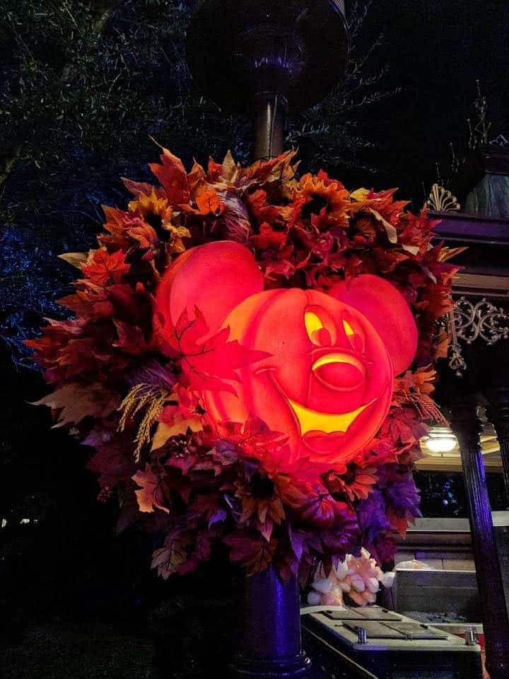MNSSHP Decorations