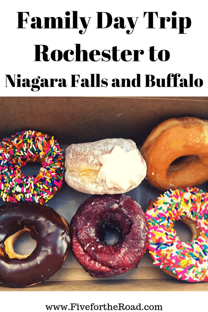 Family Day Trip Rochester NY to Niagara Falls and Buffalo