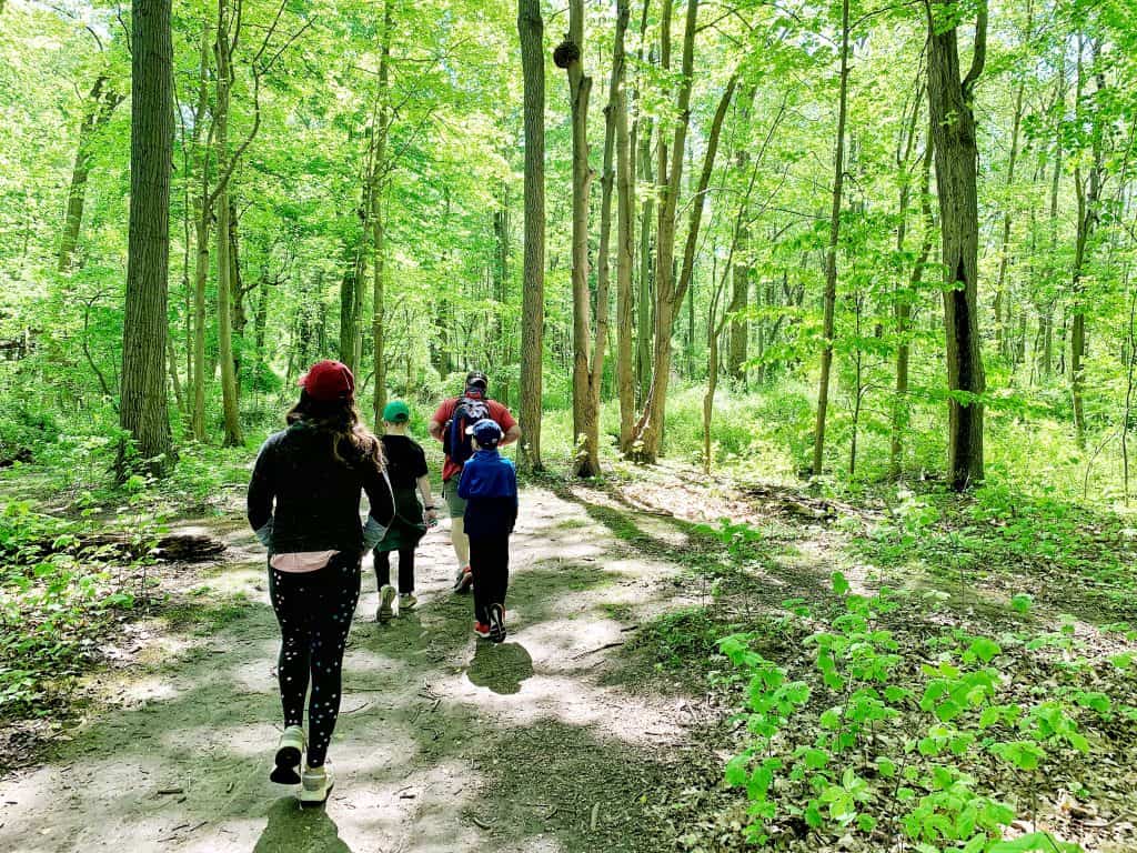trail at Chimney bluffs state park in new york
